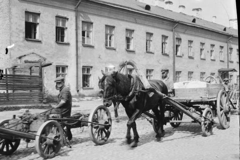 horse drawn wagons