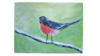 painting of a bird on a branch