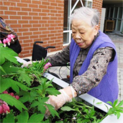 Older adult gardening at the Yee Hong Centre for Geriatric Care.