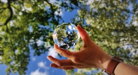 Image of person reflecting background of trees and sky
