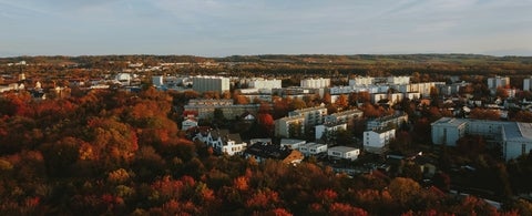 City scape with autumn leaves