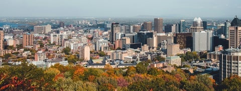 City skyline with autumn leaves