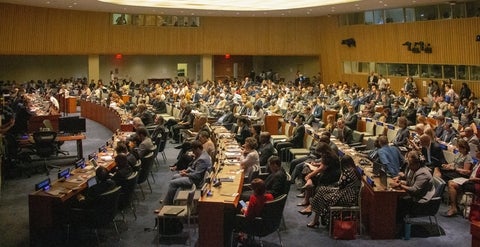 Delegates meeting at the UN HLPF in New York