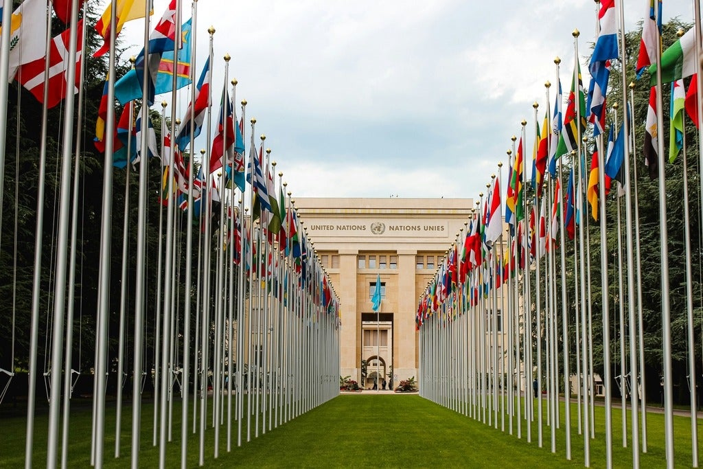 row of flags leading to a UN building