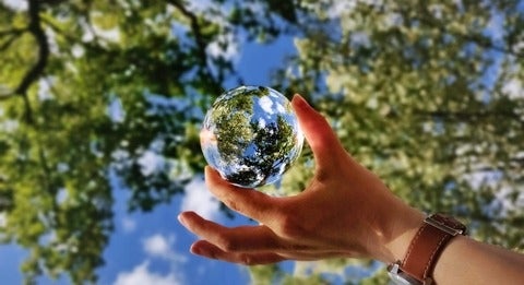Image of person reflecting background of trees and sky