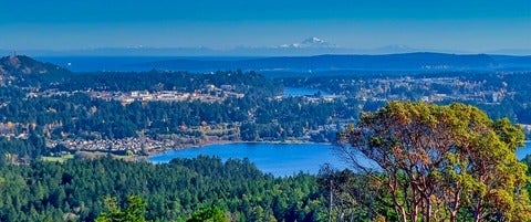 Vancouver Island landscape image