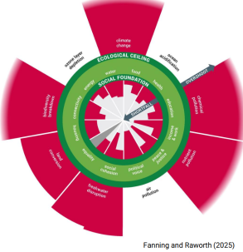 Diagram of doughnut economics