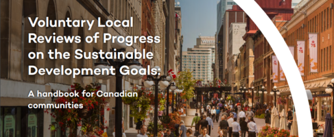 Voluntary local review handbook cover