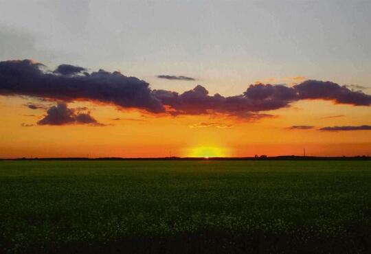 Sunset over a flat field