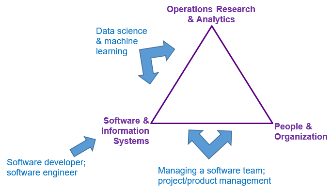 Management Engineering's 3 theme areas (in purple) and typical careers in which Management Engineering graduates develop software skills (in blue)