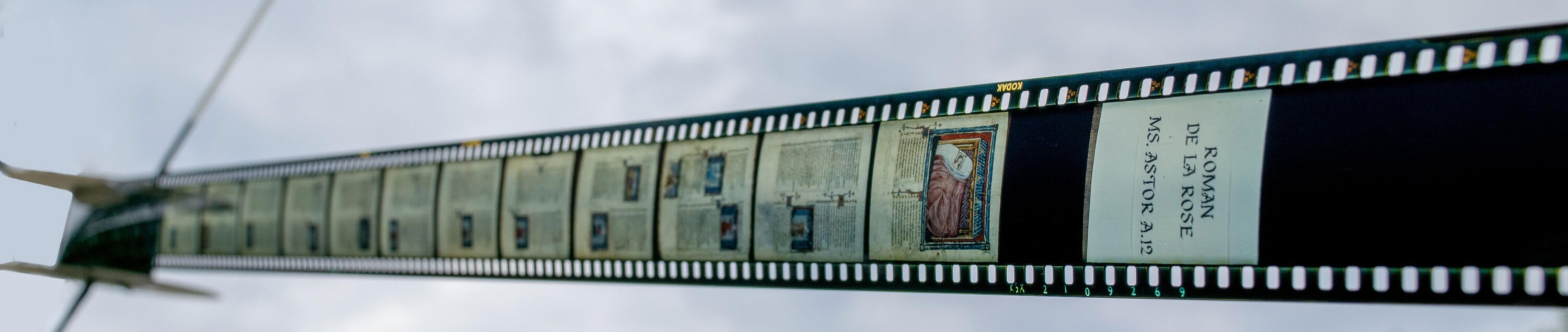 Roman de la Rose rouleau de film 3