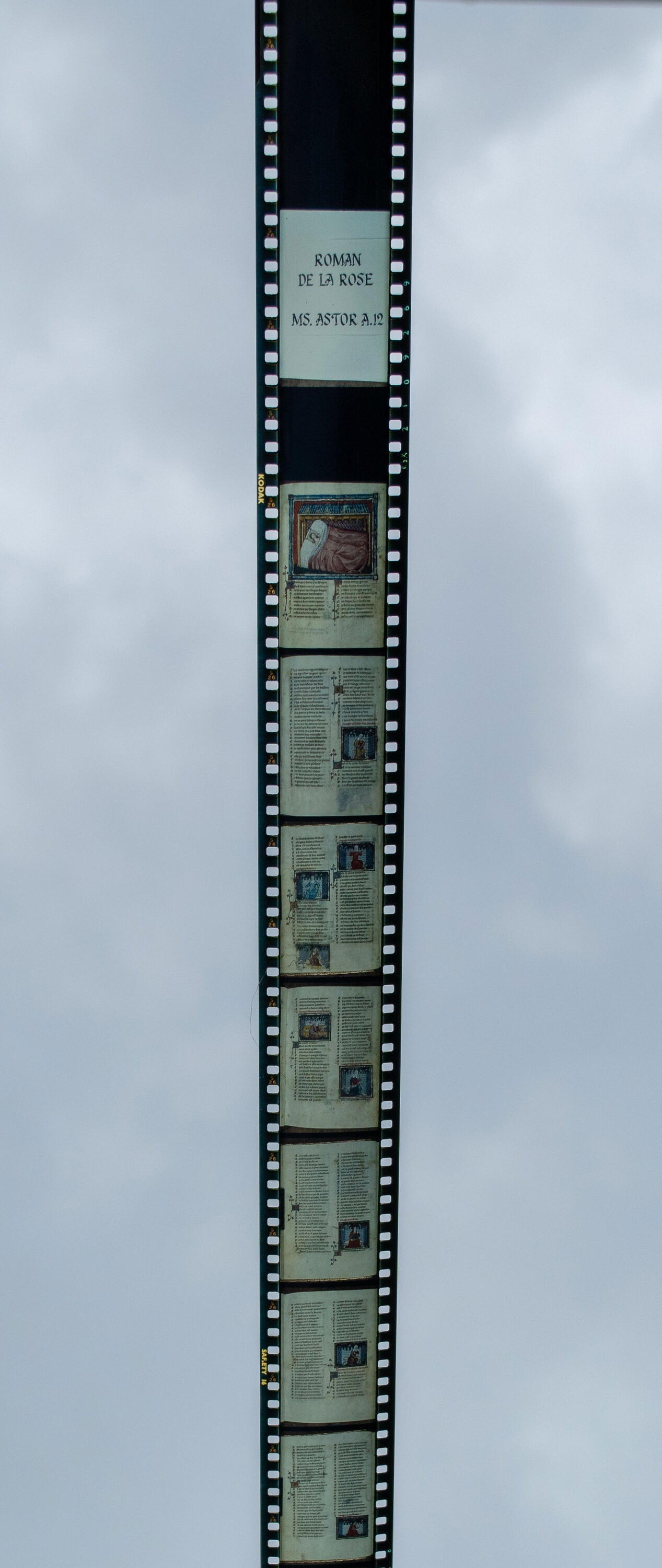 Roman de la Rose rouleau de film 4