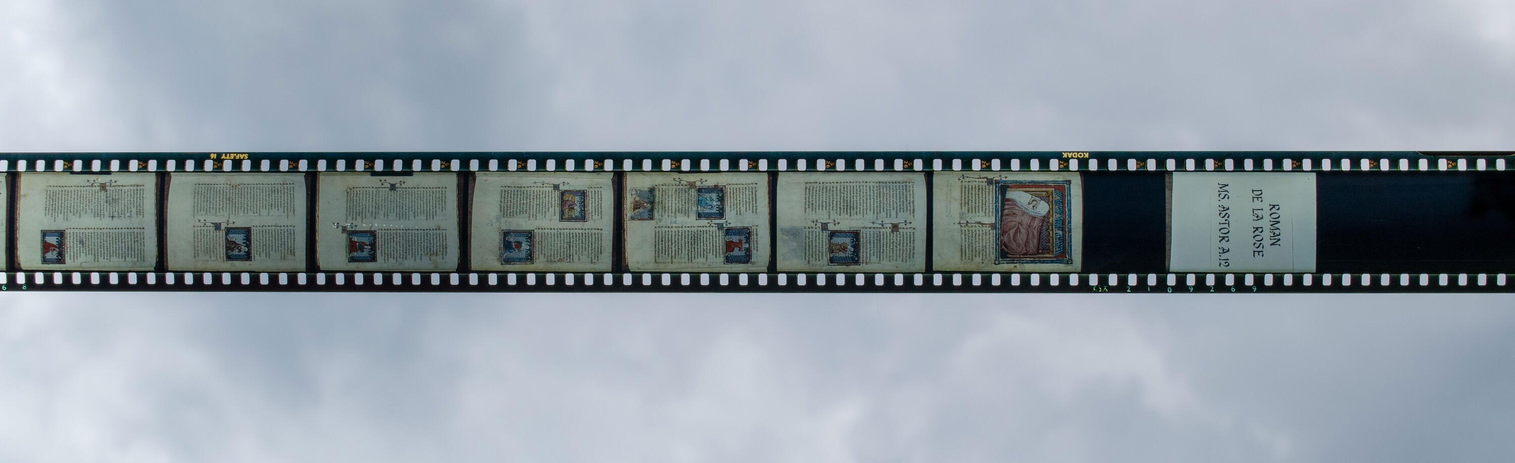 Roman de la Rose Film Roll 2