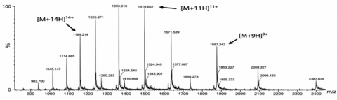 A mass spectrum of a 16.7 kD protein analysed using mass spectrometry.