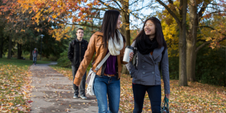 Three students walking through wooded area