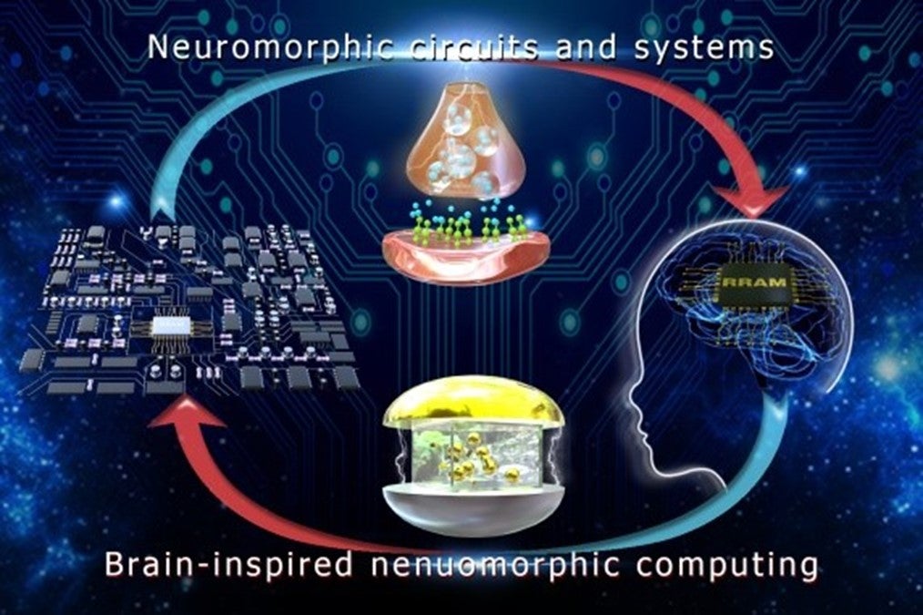 Neuromorphic circuits and systems flowchart