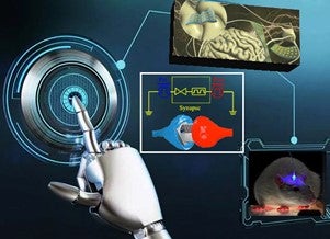 Robotic hand imagery