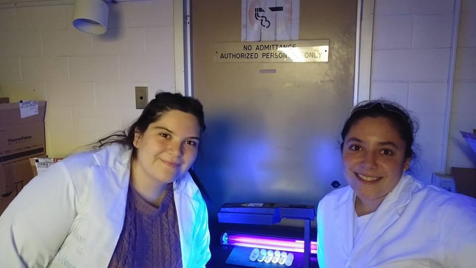 Students in the lab show off their Quantum Dots