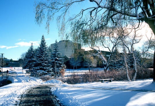 Waterloo campus in winter