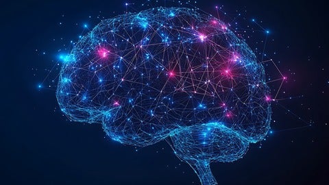 pink and blue representation of a brain