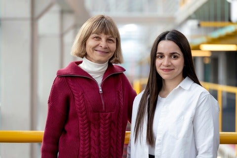 Lila Kari and Fatemeh Alipour