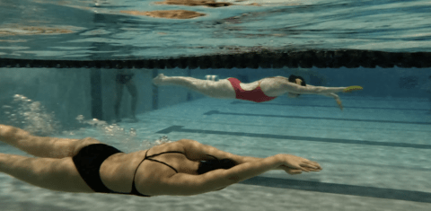 swimmers underwater