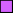 Purple square