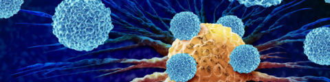 Stylized cancer and immune cells