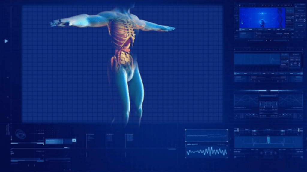 Computer model of the human body