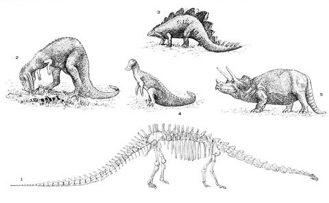 A drawing of five different dinosaurs