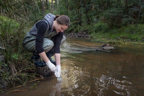 Woman crouched in stream collecting a water sample/ 