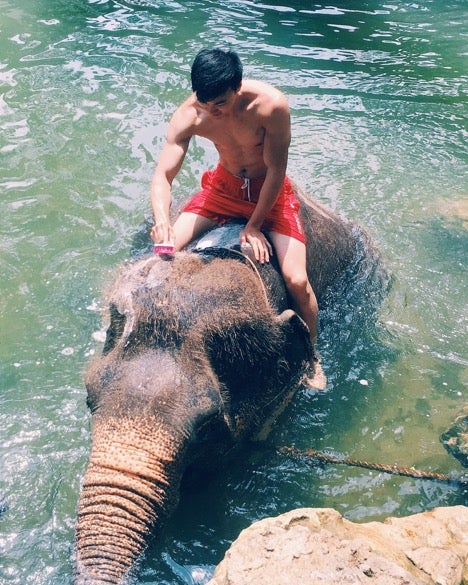 giving an elephant a bath in Karabi, Thailand