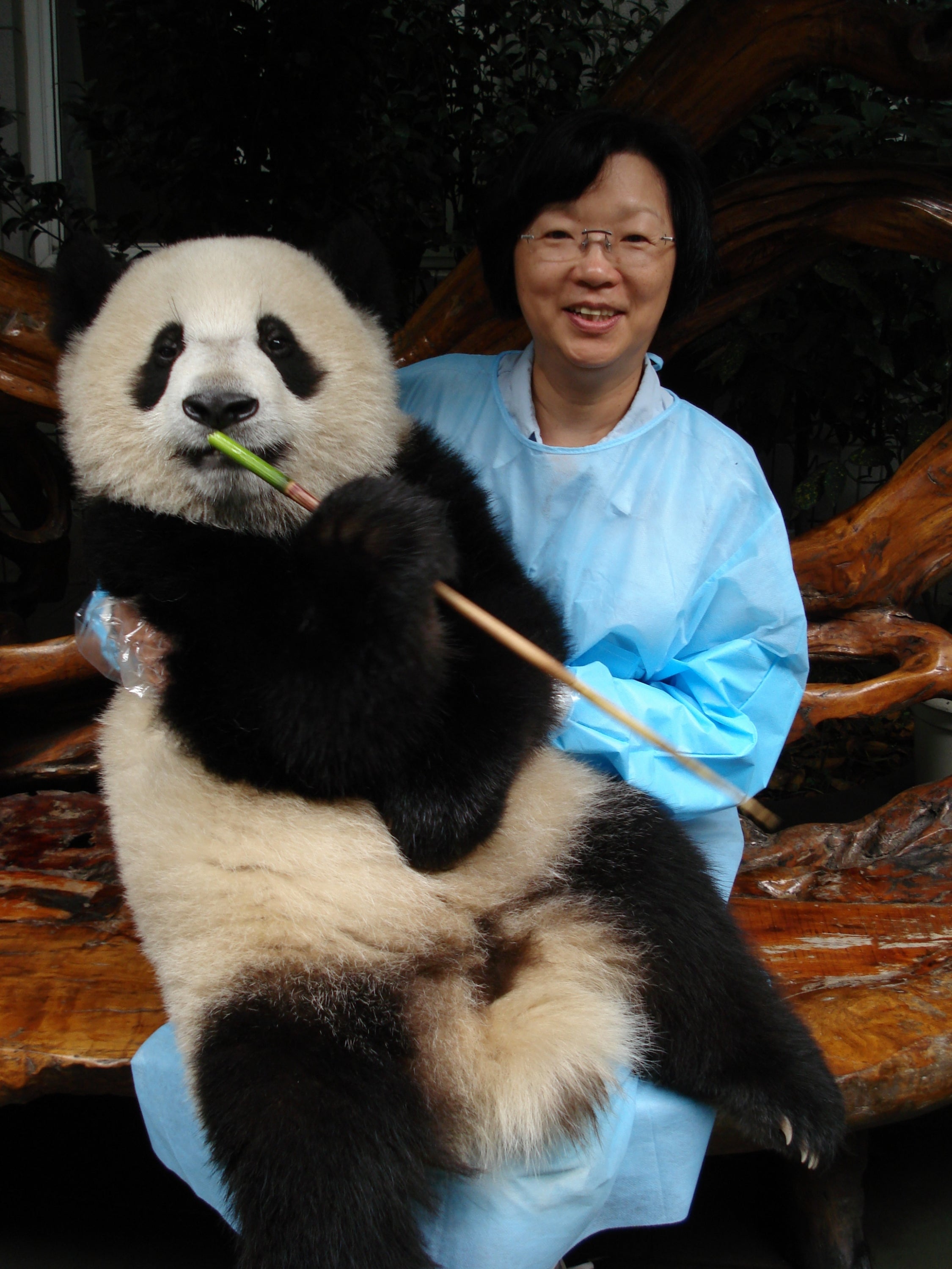 Ping Yang with a panda.
