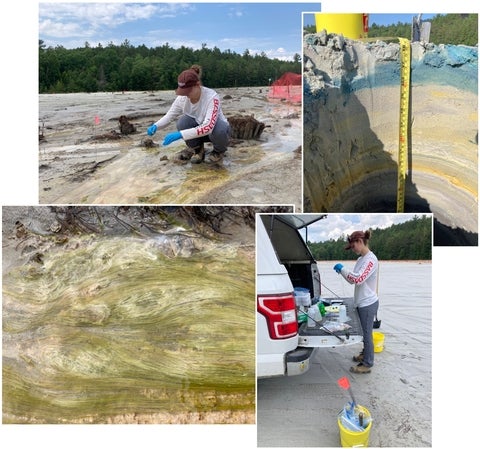 Annabelle collecting samples at the mine site