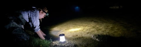 Person, in the dark, collects a water sample from a pond by the light of a head lamp. 