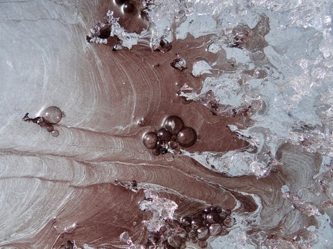 A purple algal biofilm growing on ice. 