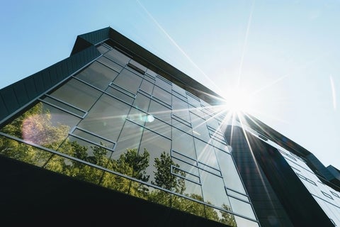 Trees in the reflection of a building