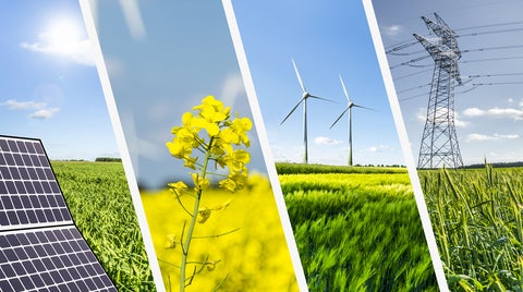 Collage of solar panel, canola flower, wind turbines and powerline