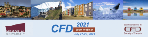 Banner for CFD 2021 seminar 