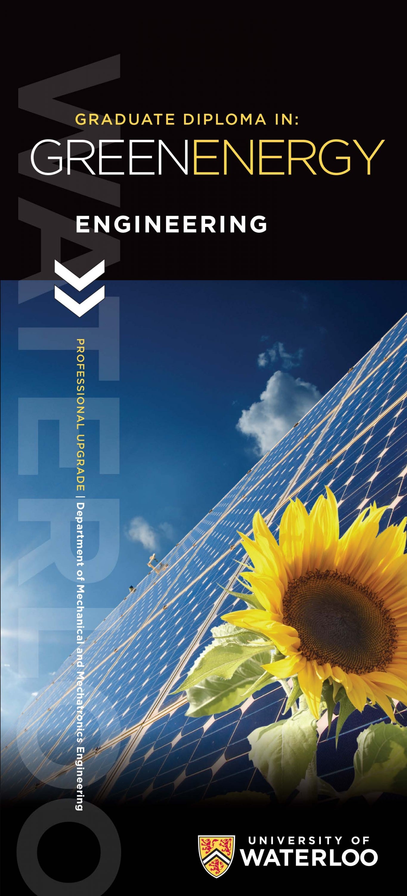 Green energy graduate diploma brochure cover with solar panels and a sunflower