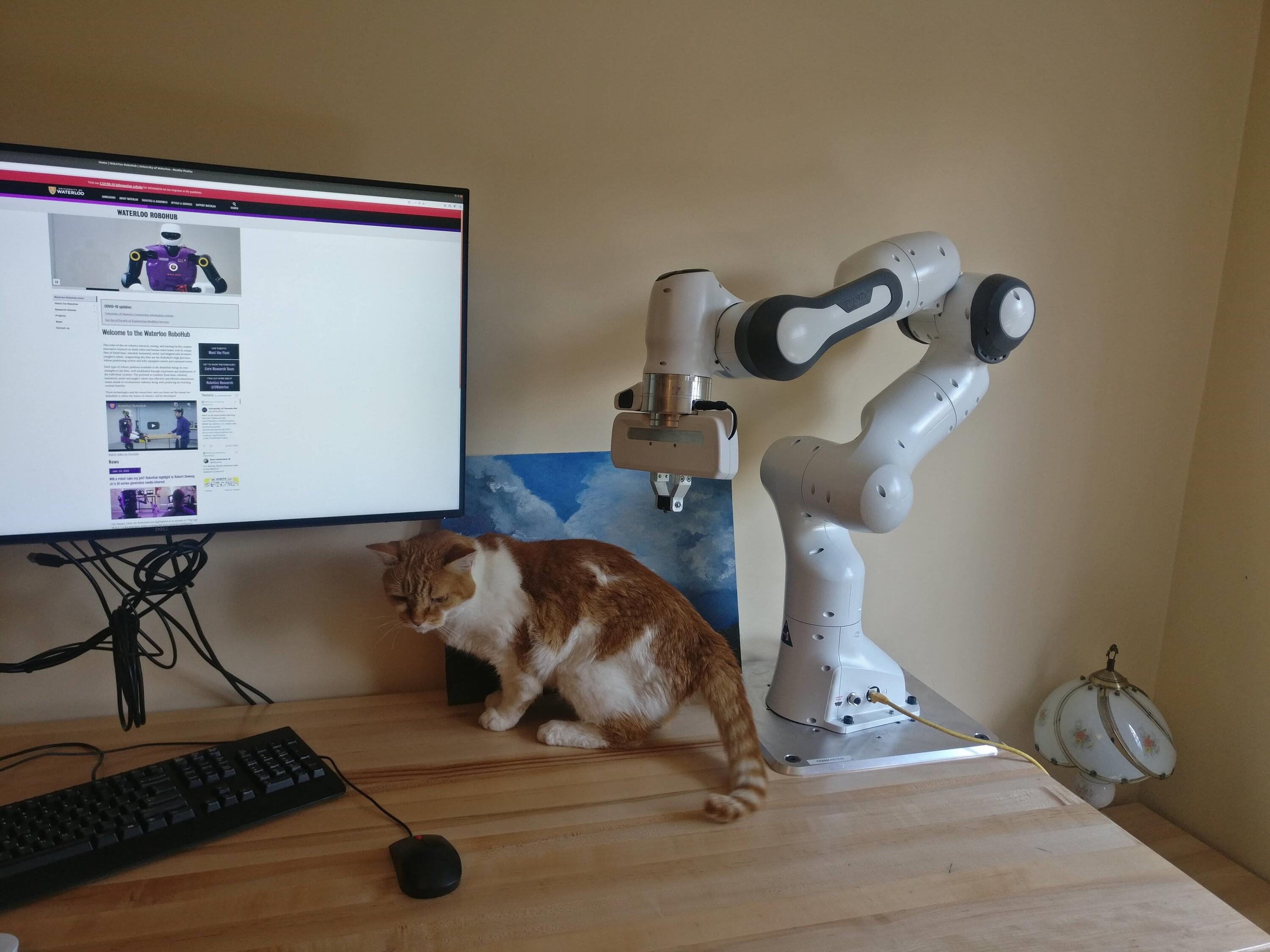 Vladimir Joukov's family cat looking for a backrub from the robot he was loaned from the Robohub.