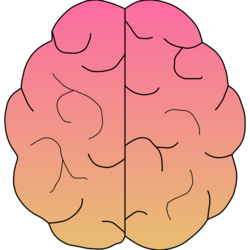 Cartoon picture of a brain