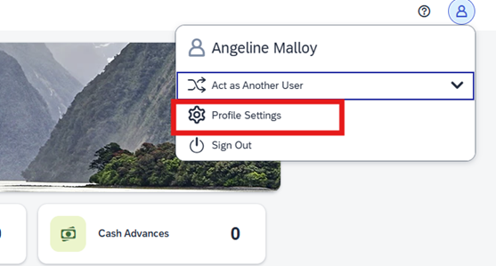 Go to profile settings as first step to setting up a delegate