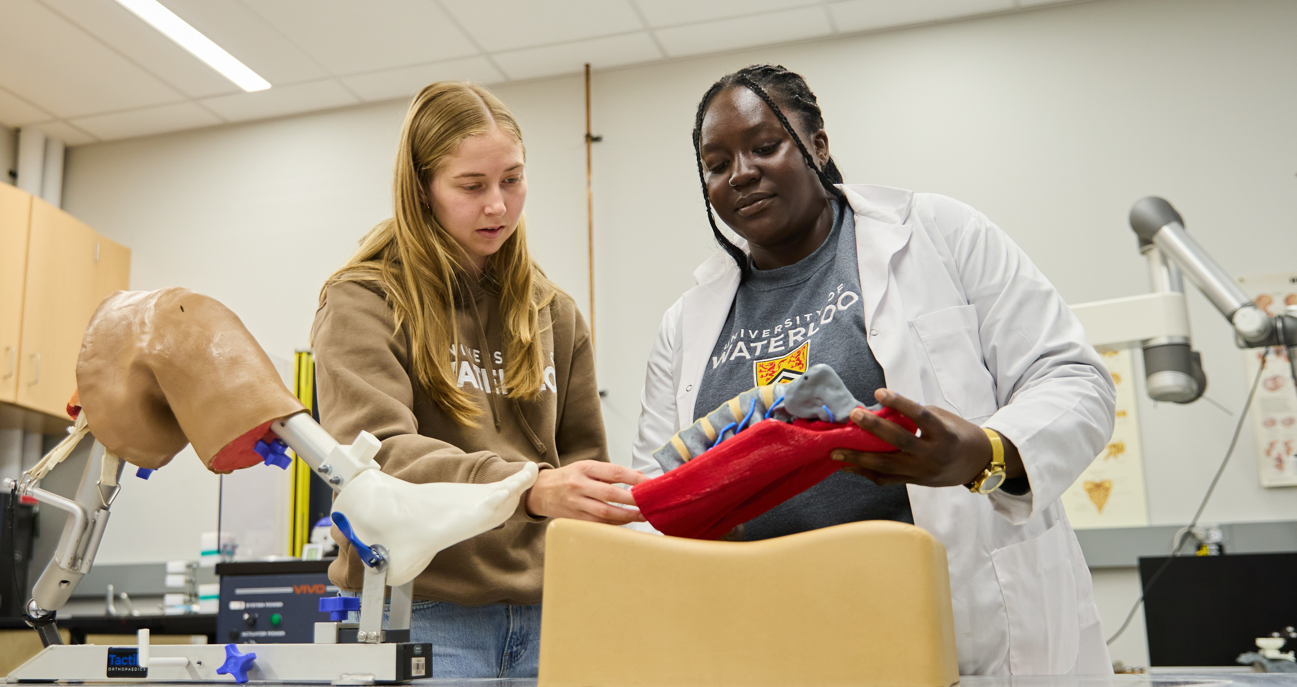 Students working with biomechanics