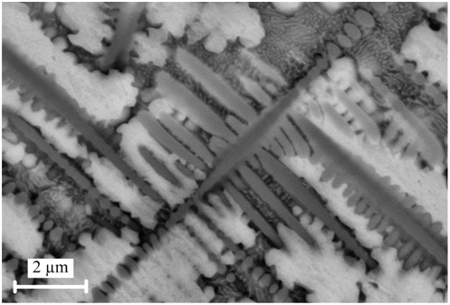 Deposition of Ti45Nb deposited on Mild Steel: Backscatter SEM image of the very fine dendrite structure of Ti45Nb - The result of the research is published in Surface and Coatings Technology, v. 204 (15), 2010.