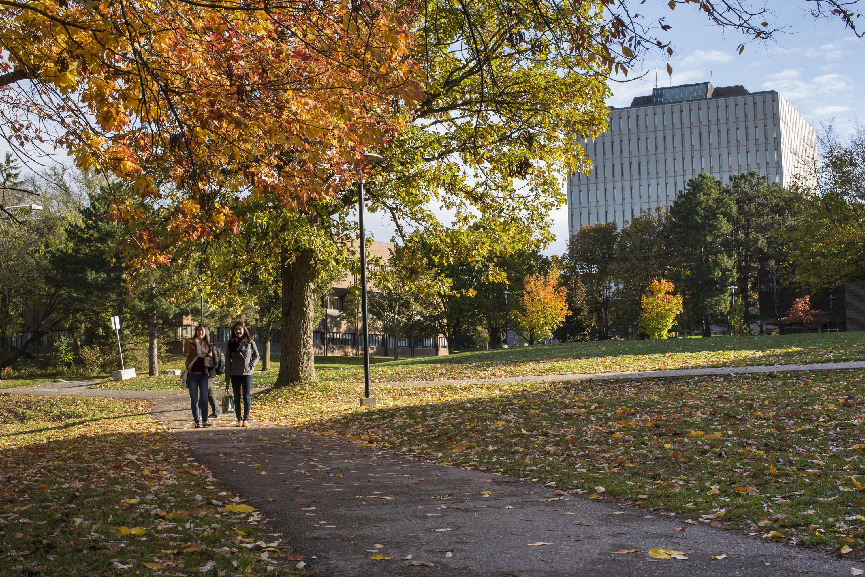 Two students walking together on campus during autumn 