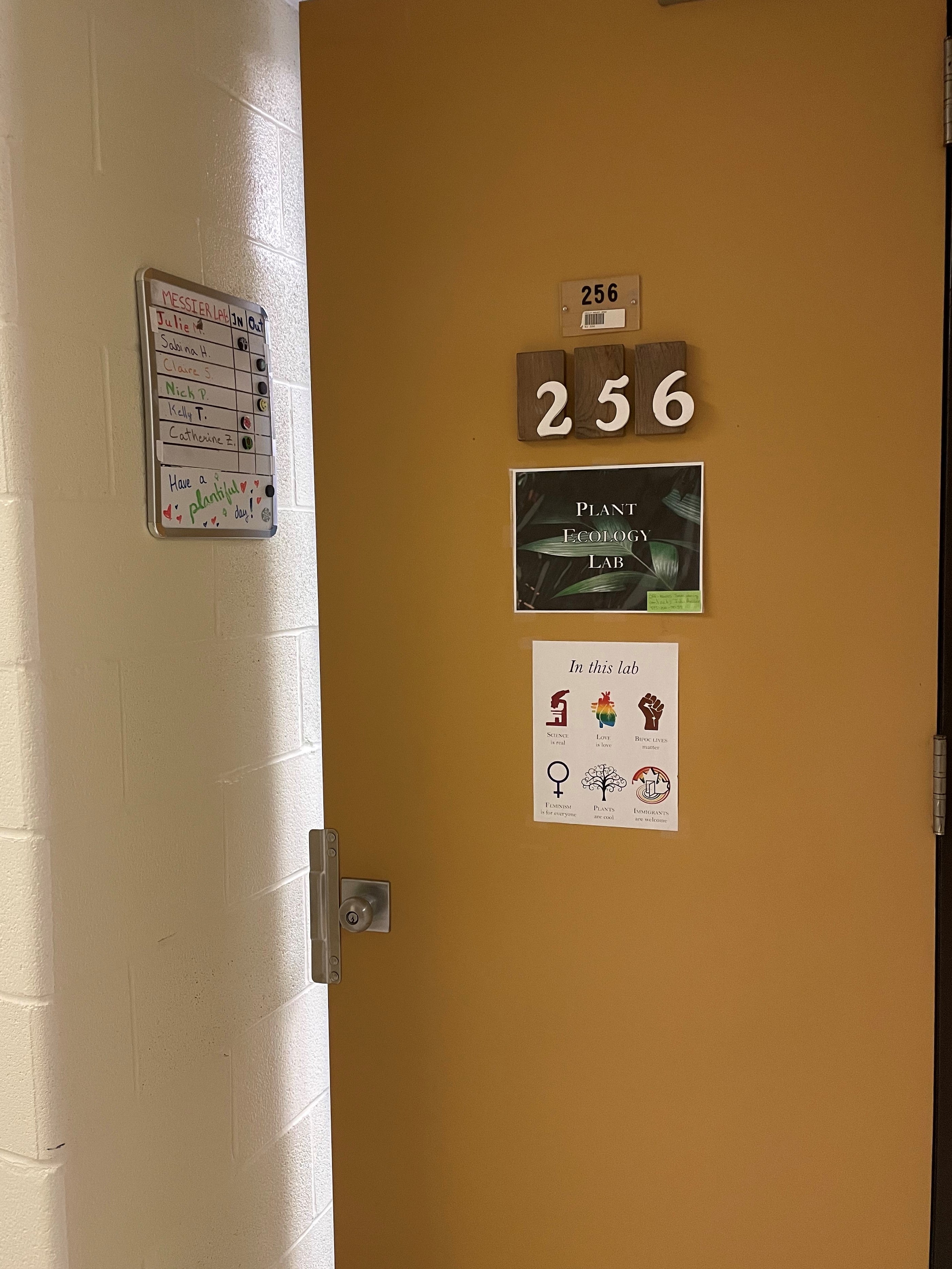 Door Showing Room number 256