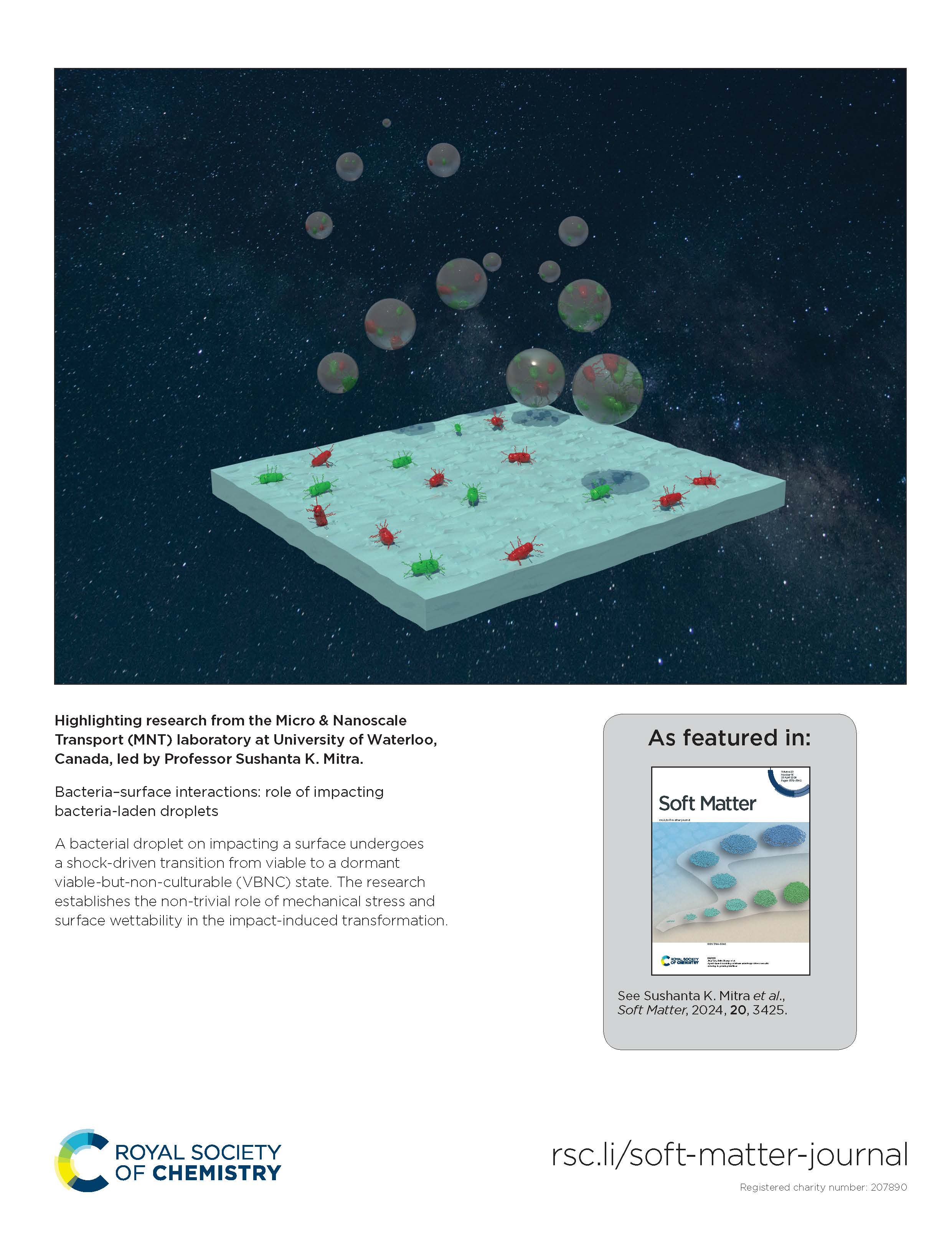 Cover Art for Bacteria Drop impact on substrates
