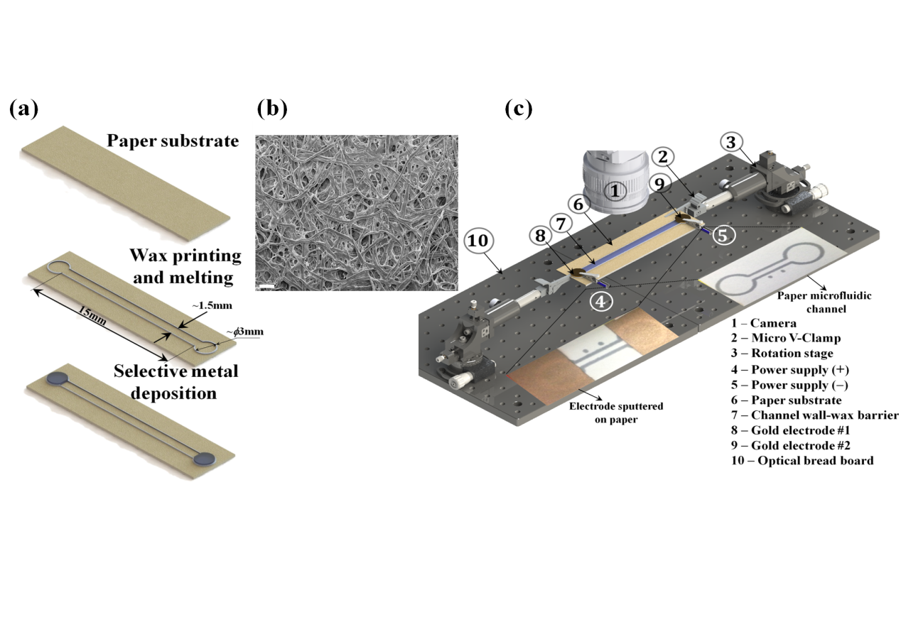Paper-based microfluidics system demo graphic.