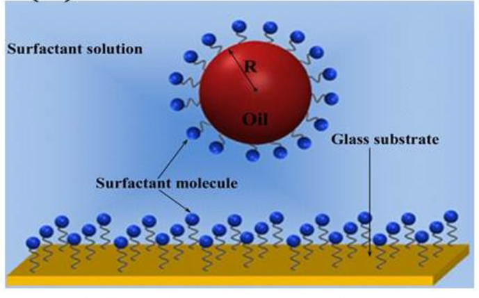 Diagram of a molecule in surfactant solution over glass highlighting their surface molecules.